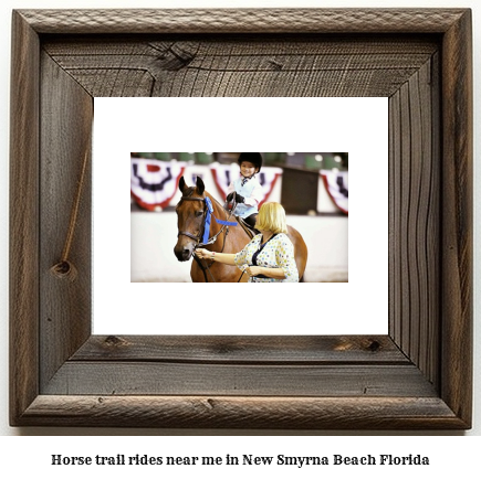 horse trail rides near me in New Smyrna Beach, Florida